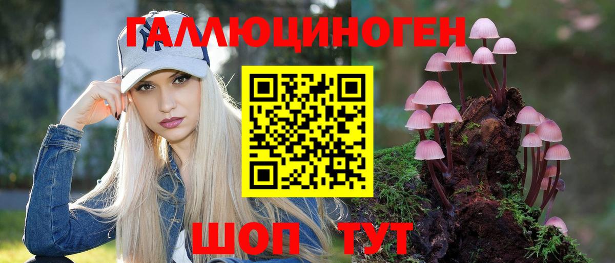 Псилоцибиновые грибы Psilocybe Тихвин