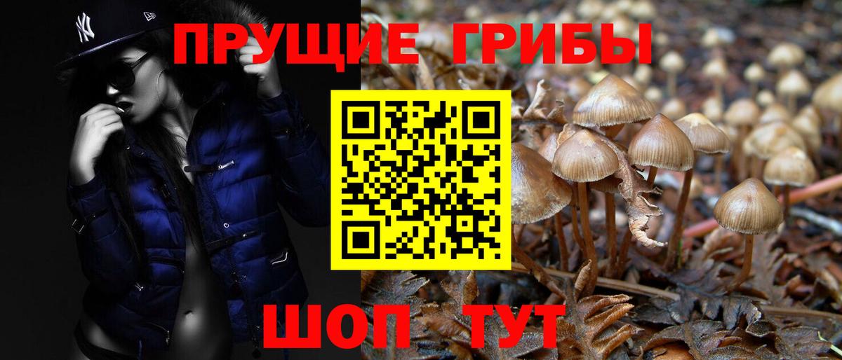 Галлюциногенные грибы прущие грибы  Вход с VPN  купить   Тихвин 